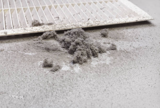 Best HVAC Maintenance and Cleaning  in Taylorsville, UT