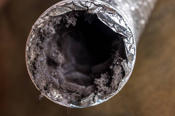 Best Dryer Vent Cleaning Services  in Taylorsville, UT